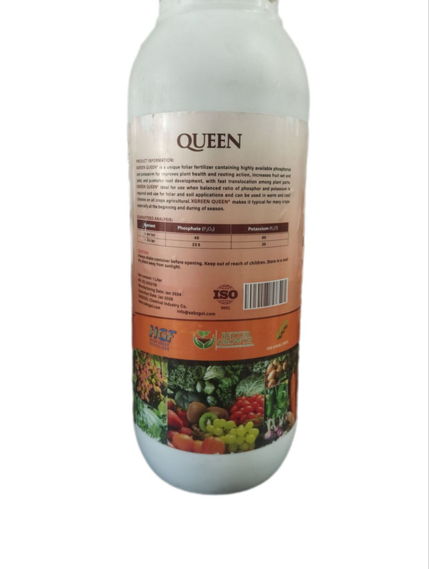 کوئین 100 ایکس گرین