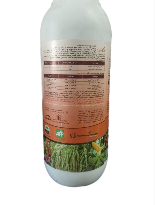 کوئین 100 ایکس گرین